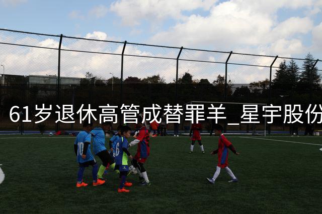 61岁退休高管成替罪羊 星宇股份裁员风波现罗生门